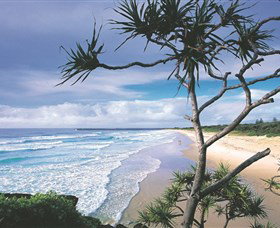 Lighthouse Beach Ballina - Taree Accommodation 1