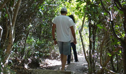 Three Sisters Walking Track - Taree Accommodation 0