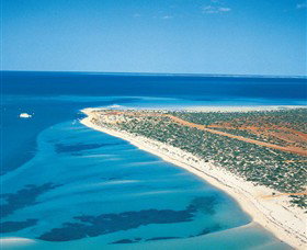 Monkey Mia WA Taree Accommodation