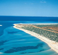 Monkey Mia - Taree Accommodation