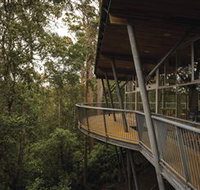 Tarkine Forest Adventures - Dismal Swamp - Taree Accommodation