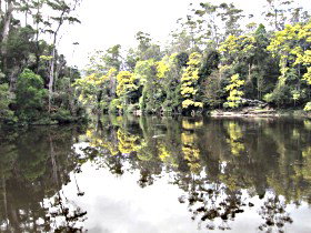 Arthur River TAS Taree Accommodation