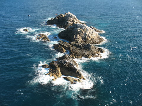 Cape Byron Marine Park - Taree Accommodation 1