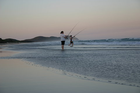 Cape Byron Marine Park - Taree Accommodation 2