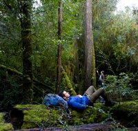 The Tarkine Drive - Taree Accommodation