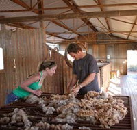 Peron Homestead - Taree Accommodation