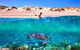 Snorkel The Ningaloo Reef - thumb 0