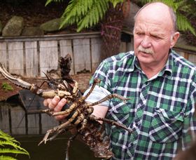 Flowerdale TAS Taree Accommodation