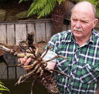 Lobster Ponds - Taree Accommodation