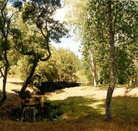 Oldina Picnic Area - Taree Accommodation
