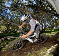 All Terrain Cycles - Taree Accommodation