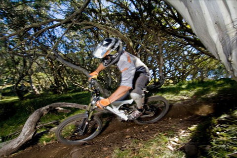 All Terrain Cycles - Taree Accommodation 0