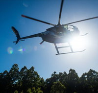 Tall Timbers Adventure Tours - Taree Accommodation