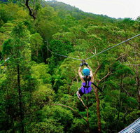 Canyon Flyer - Taree Accommodation