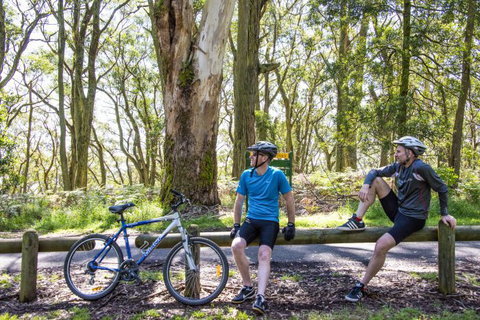 Fit Tours - Taree Accommodation 7