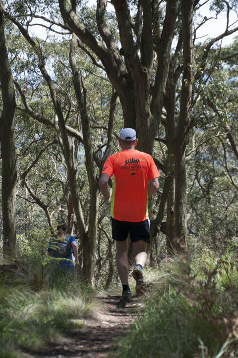 Fit Tours - Taree Accommodation 11