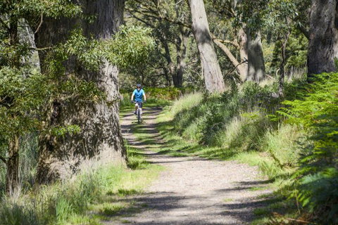 Fit Tours - Taree Accommodation 14