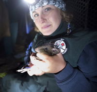 Naturewise at Tidbinbilla - Taree Accommodation