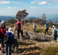 Hedonistic Hiking - Taree Accommodation