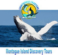 Lighthouse Charters Narooma - Taree Accommodation