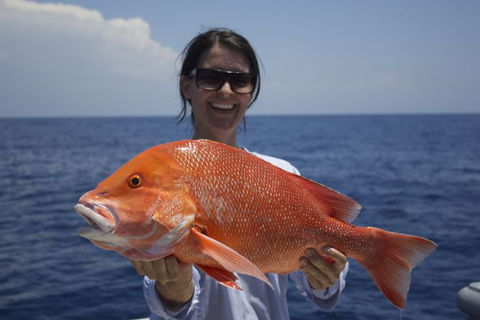 Absolute Ocean Charters - Taree Accommodation 3