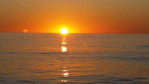 Absolute Ocean Charters - Taree Accommodation 16