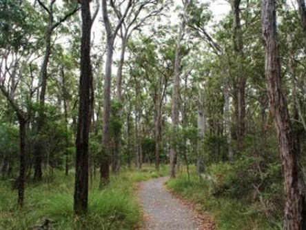 Caboolture Regional Environment Education Centre - Walking Trails - Taree Accommodation 0