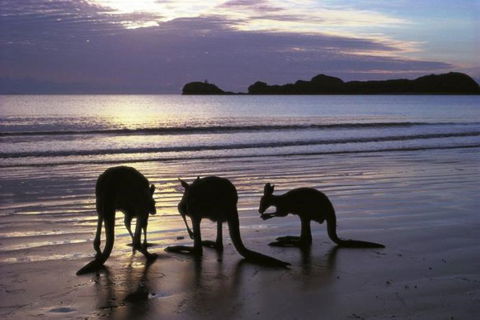Beachcomber Cove Track - Taree Accommodation 0