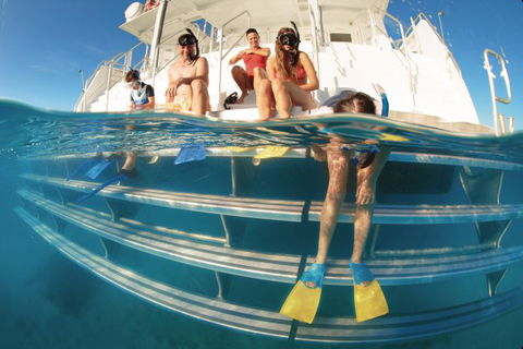 Australian Sunset Safaris - Taree Accommodation 10