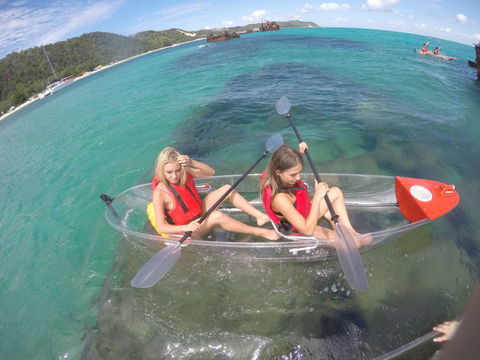 Australian Sunset Safaris - Taree Accommodation 17