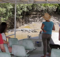 Whitsunday Crocodile Safari - Taree Accommodation