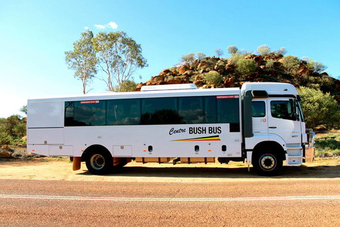 Centre Bush Bus - Taree Accommodation 0
