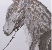 Great Lakes Art Society - Taree Accommodation