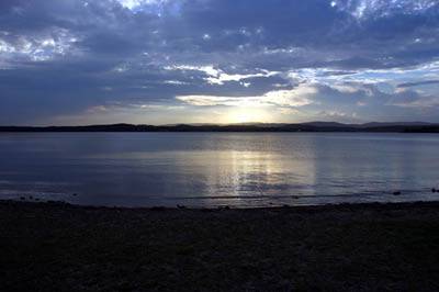 The Next Grind - Taree Accommodation 0