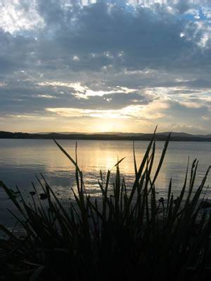 The Next Grind - Taree Accommodation 1