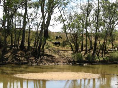 The Next Grind - Taree Accommodation 3