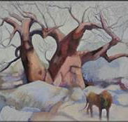 Bright Madge - Taree Accommodation