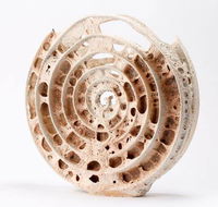 Noosa Regional Gallery