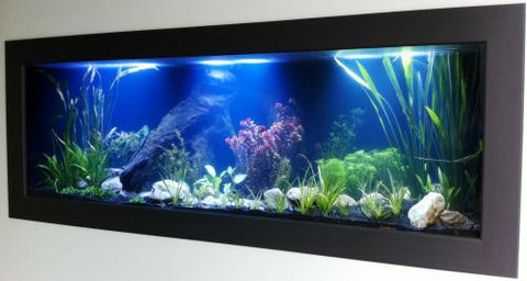 Aquariums In Cairns - Taree Accommodation 0