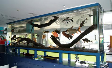 Aquariums In Cairns - Taree Accommodation 2