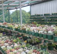 Summerland Aquarium - Taree Accommodation