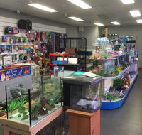 Nambour Pet Shop - Taree Accommodation