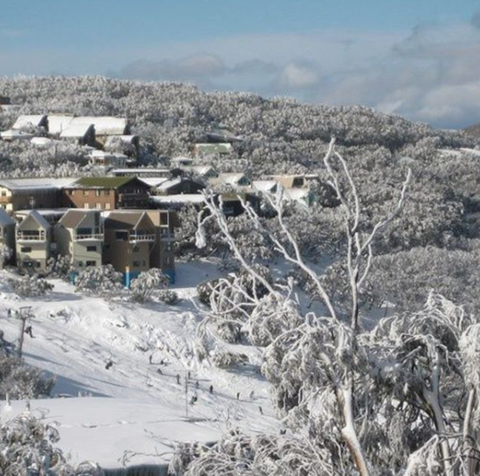 Down Under Thrills - Taree Accommodation 2
