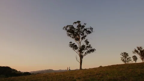 Faulls Ridge Winery - Taree Accommodation 0