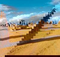 Pinnacles Desert Koalas and Sandboarding 4WD Day Tour from Perth - Taree Accommodation