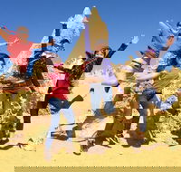 Pinnacles and Swan Valley Day Trip from Perth Including Caversham Wildlife Park Vineyard Lunch Pinnacles and Sandboarding - Taree Accommodation