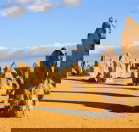 Pinnacles and Yanchep National Park Day Trip from Perth Including Lobster Shack Lunch and Sandboarding - Taree Accommodation