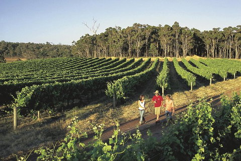 Margaret River, Caves, Wine And Cape Leeuwin Lighthouse Tour From Perth - Taree Accommodation 0