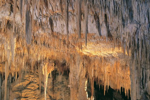 Margaret River, Caves, Wine And Cape Leeuwin Lighthouse Tour From Perth - Taree Accommodation 27