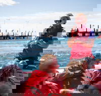 Rottnest Island Tour from Perth or Fremantle including Adventure Speed Boat Ride - Taree Accommodation